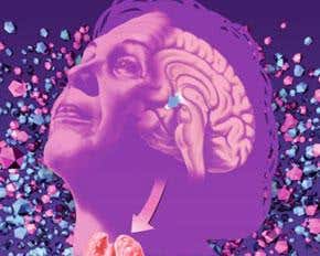 Commentary: Medical research is still biased