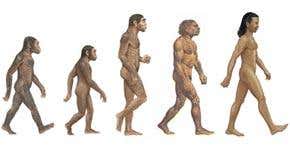 Evolution: A guide for the not-yet perplexed