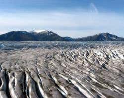 New Scientist. Science news and long reads from expert journalists, covering developments in science, technology, health and the environment on the website and the magazine.