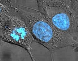 New Scientist. Science news and long reads from expert journalists, covering developments in science, technology, health and the environment on the website and the magazine.