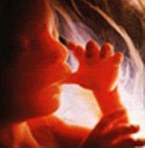 Fetal cells could help fight off breast cancer