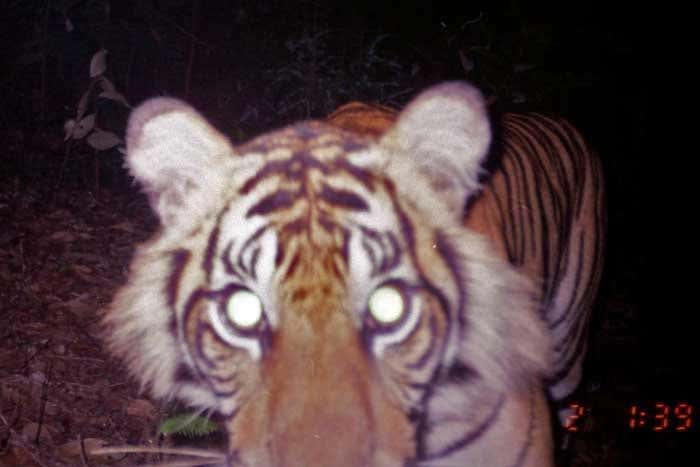 New Scientist. Science news and long reads from expert journalists, covering developments in science, technology, health and the environment on the website and the magazine.