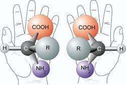 Amino acids are molecules that come in mirror-image, right- and left-handed forms