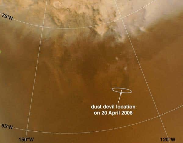 The dust devils appeared at the centre of an oval-shaped region where the Phoenix lander is due to touch down