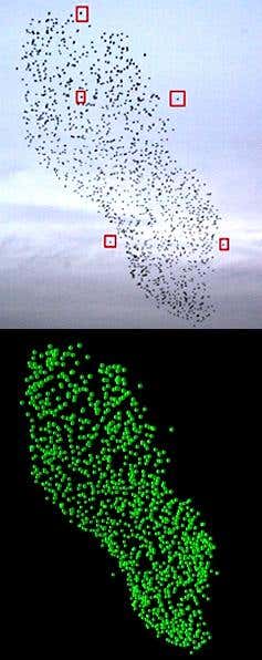 New Scientist. Science news and long reads from expert journalists, covering developments in science, technology, health and the environment on the website and the magazine.