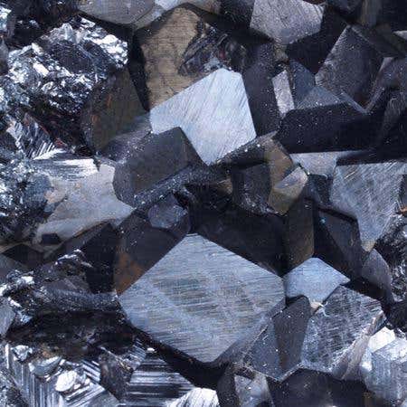 New Scientist. Science news and long reads from expert journalists, covering developments in science, technology, health and the environment on the website and the magazine.