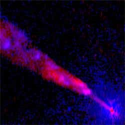 New Scientist. Science news and long reads from expert journalists, covering developments in science, technology, health and the environment on the website and the magazine.