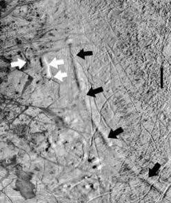 New Scientist. Science news and long reads from expert journalists, covering developments in science, technology, health and the environment on the website and the magazine.