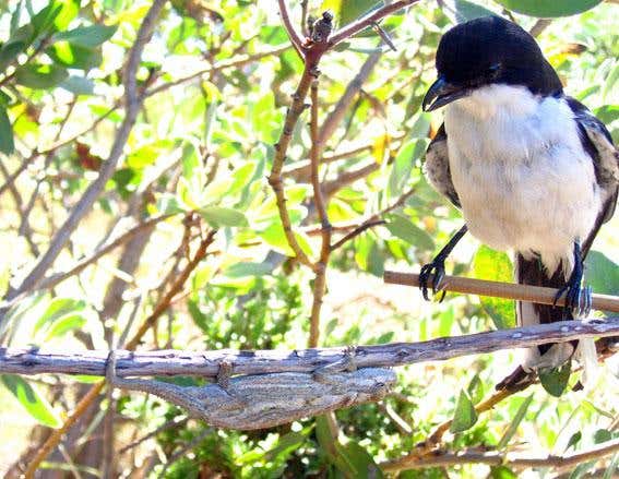 New Scientist. Science news and long reads from expert journalists, covering developments in science, technology, health and the environment on the website and the magazine.