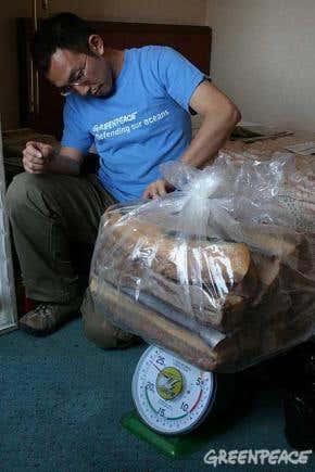 The beginning of the end for Japanese whaling?