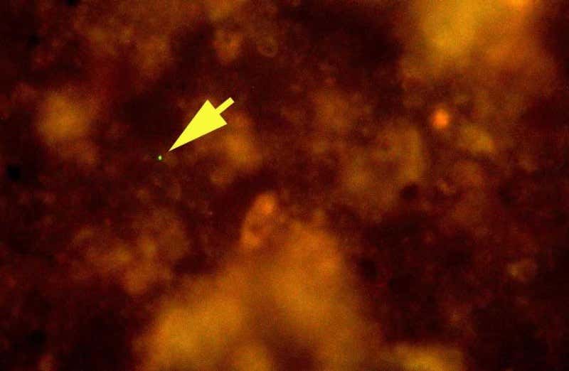 New Scientist. Science news and long reads from expert journalists, covering developments in science, technology, health and the environment on the website and the magazine.