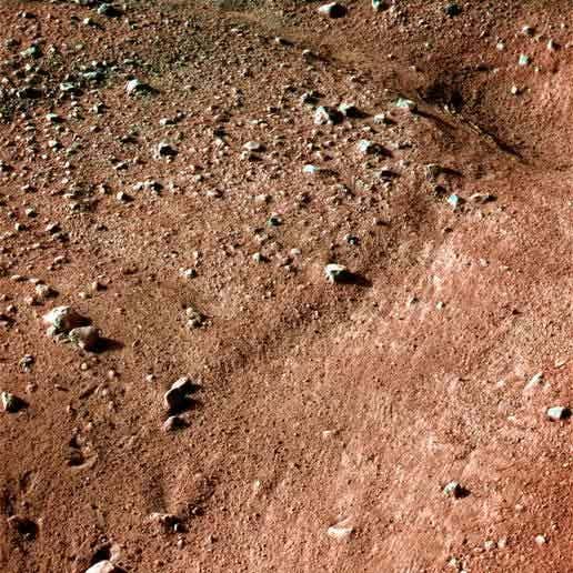 Polygonal patterns adorn the ground near NASA's Phoenix Mars Lander. Similar patterns form in the icy ground in Earth's arctic regions