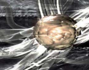 Interview: Why our brains are so clumsy