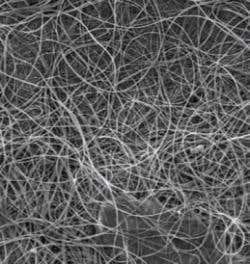 New Scientist. Science news and long reads from expert journalists, covering developments in science, technology, health and the environment on the website and the magazine.