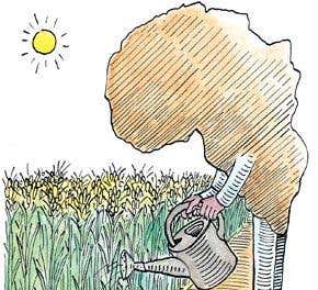 Comment: A Green Revolution for Africa