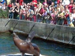 New Scientist. Science news and long reads from expert journalists, covering developments in science, technology, health and the environment on the website and the magazine.