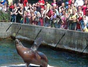 So you think humans are unique?