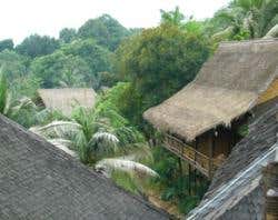 New Scientist. Science news and long reads from expert journalists, covering developments in science, technology, health and the environment on the website and the magazine.