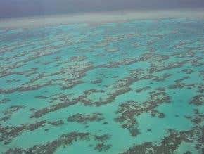 Quirk of sea air provides video link to protected reef