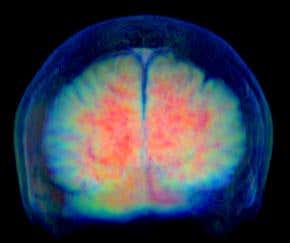 Is this a unified theory of the brain?