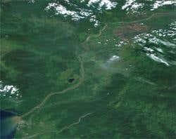 New Scientist. Science news and long reads from expert journalists, covering developments in science, technology, health and the environment on the website and the magazine.