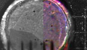 Phoenix snaps first close-up of Martian dust