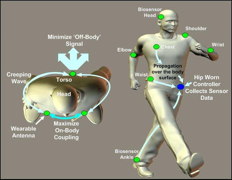 'Skin-tenna' wireless signals creep over human skin