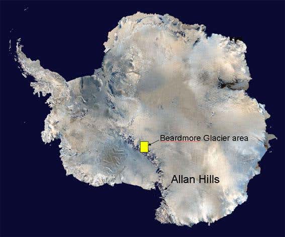 The location of the burrow