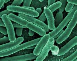 New Scientist. Science news and long reads from expert journalists, covering developments in science, technology, health and the environment on the website and the magazine.