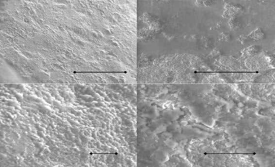 Science of Mentos-Diet Coke explosions explained