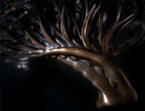 Darwin's Canopy: Art inspired by evolution