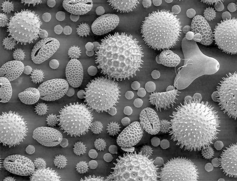 New Scientist. Science news and long reads from expert journalists, covering developments in science, technology, health and the environment on the website and the magazine.