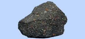 Genetic building blocks may have formed in space