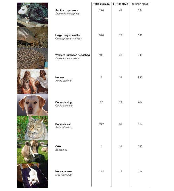 New Scientist. Science news and long reads from expert journalists, covering developments in science, technology, health and the environment on the website and the magazine.