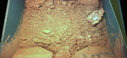 New Scientist. Science news and long reads from expert journalists, covering developments in science, technology, health and the environment on the website and the magazine.