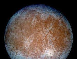 The most extreme life-forms in the universe