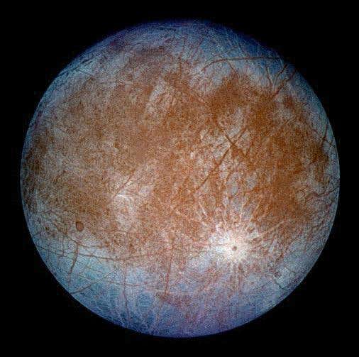 Jupiter's moon Europa is thought to harbour an ocean under its icy crust. Any life in the ocean would have to survive temperatures of -90 °C