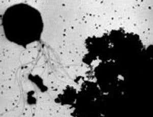 New Scientist. Science news and long reads from expert journalists, covering developments in science, technology, health and the environment on the website and the magazine.