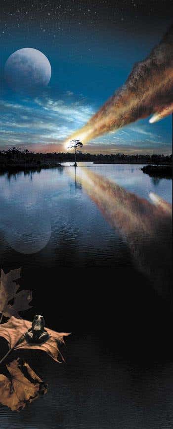 New Scientist. Science news and long reads from expert journalists, covering developments in science, technology, health and the environment on the website and the magazine.