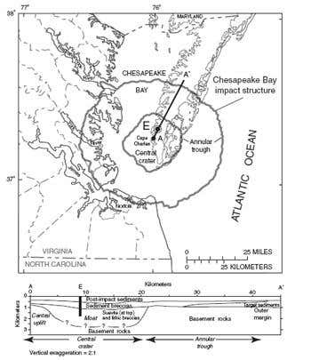 New Scientist. Science news and long reads from expert journalists, covering developments in science, technology, health and the environment on the website and the magazine.