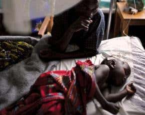 Obesity helps mice fend off malaria