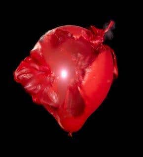 Inflation deflated? The big bang's toughest test