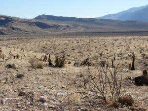 Time to go ahead with Nevada nuclear dump?