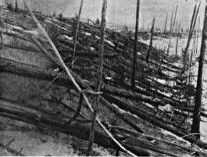 Tunguska: The day the sky exploded