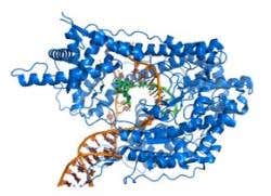New Scientist. Science news and long reads from expert journalists, covering developments in science, technology, health and the environment on the website and the magazine.