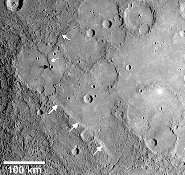 New Scientist. Science news and long reads from expert journalists, covering developments in science, technology, health and the environment on the website and the magazine.