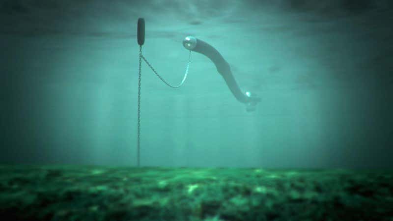 New Scientist. Science news and long reads from expert journalists, covering developments in science, technology, health and the environment on the website and the magazine.