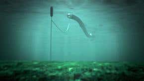 Giant rubber snake could be the future of wave power