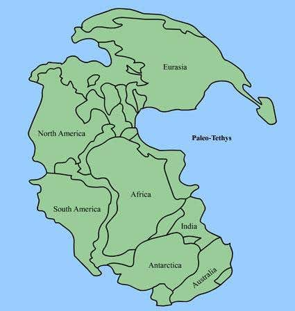 New Scientist. Science news and long reads from expert journalists, covering developments in science, technology, health and the environment on the website and the magazine.