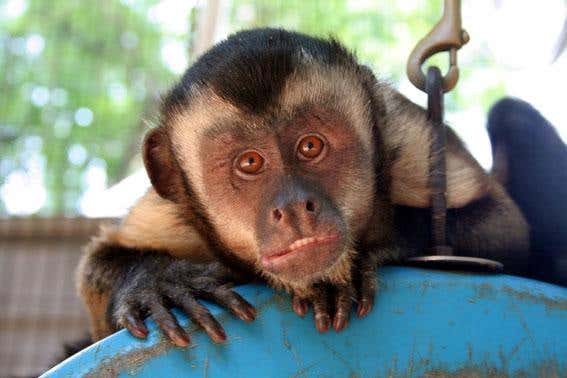 New Scientist. Science news and long reads from expert journalists, covering developments in science, technology, health and the environment on the website and the magazine.